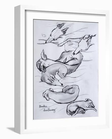 Bracken, the Whippet, 2000-Joan Thewsey-Framed Giclee Print