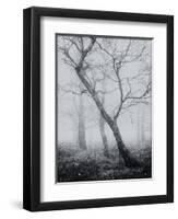 Bracken Woods-Craig Roberts-Framed Giclee Print