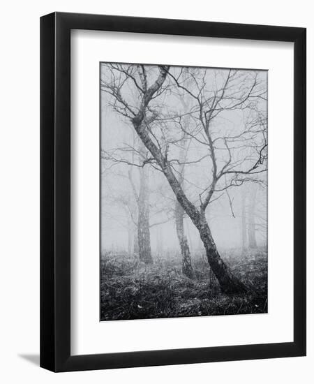 Bracken Woods-Craig Roberts-Framed Giclee Print