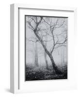 Bracken Woods-Craig Roberts-Framed Giclee Print