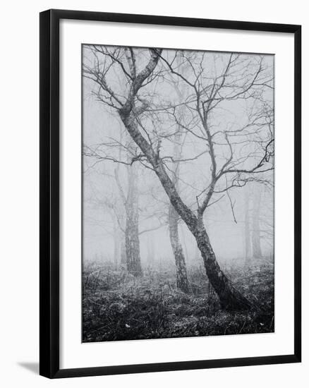 Bracken Woods-Craig Roberts-Framed Giclee Print