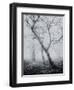 Bracken Woods-Craig Roberts-Framed Premium Giclee Print