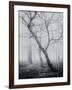 Bracken Woods-Craig Roberts-Framed Giclee Print