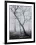 Bracken Woods-Craig Roberts-Framed Giclee Print