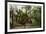 Brackenridge Park, San Antonio, Texas-null-Framed Premium Giclee Print