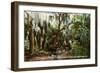 Brackenridge Park, San Antonio, Texas-null-Framed Art Print