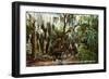 Brackenridge Park, San Antonio, Texas-null-Framed Art Print