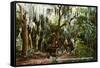 Brackenridge Park, San Antonio, Texas-null-Framed Stretched Canvas