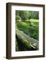 Bracket Fungus (Phellinus Sp) on Fallen Dead Tree Trunk Beside Krinice River, Kyov, Czech Republic-Ruiz-Framed Photographic Print