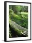 Bracket Fungus (Phellinus Sp) on Fallen Dead Tree Trunk Beside Krinice River, Kyov, Czech Republic-Ruiz-Framed Photographic Print