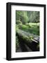 Bracket Fungus (Phellinus Sp) on Fallen Dead Tree Trunk Beside Krinice River, Kyov, Czech Republic-Ruiz-Framed Photographic Print