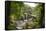 Bracklinn Falls, Callander, Loch Lomond and Trossachs National Park, Stirling, Scotland, UK-Gary Cook-Framed Stretched Canvas