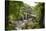 Bracklinn Falls, Callander, Loch Lomond and Trossachs National Park, Stirling, Scotland, UK-Gary Cook-Stretched Canvas