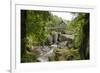 Bracklinn Falls, Callander, Loch Lomond and Trossachs National Park, Stirling, Scotland, UK-Gary Cook-Framed Photographic Print