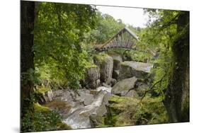 Bracklinn Falls, Callander, Loch Lomond and Trossachs National Park, Stirling, Scotland, UK-Gary Cook-Mounted Photographic Print