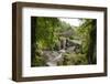 Bracklinn Falls, Callander, Loch Lomond and Trossachs National Park, Stirling, Scotland, UK-Gary Cook-Framed Photographic Print