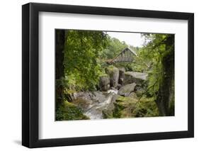 Bracklinn Falls, Callander, Loch Lomond and Trossachs National Park, Stirling, Scotland, UK-Gary Cook-Framed Photographic Print