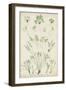 Bradbury Ferns I-Bradbury-Framed Art Print