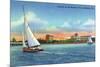 Bradenton, Florida - Sailboat on Manatee River-Lantern Press-Mounted Art Print