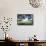 Bradley Creek I-Alan Hausenflock-Framed Stretched Canvas displayed on a wall