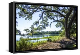 Bradley Creek II-Alan Hausenflock-Framed Stretched Canvas