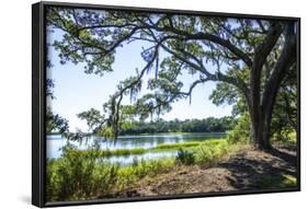 Bradley Creek II-Alan Hausenflock-Framed Photographic Print