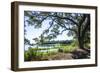 Bradley Creek II-Alan Hausenflock-Framed Photographic Print