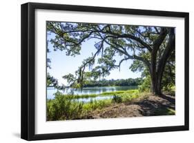 Bradley Creek II-Alan Hausenflock-Framed Photographic Print