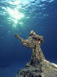 Key Largo Marine Sanctuary, Florida-Bradley Ireland-Stretched Canvas