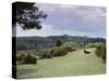 Bradley View, New Forest, Hampshire, England, United Kingdom-Jean Brooks-Stretched Canvas