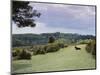 Bradley View, New Forest, Hampshire, England, United Kingdom-Jean Brooks-Mounted Photographic Print