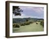 Bradley View, New Forest, Hampshire, England, United Kingdom-Jean Brooks-Framed Photographic Print