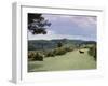 Bradley View, New Forest, Hampshire, England, United Kingdom-Jean Brooks-Framed Photographic Print