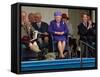 BRAEMAR ROYAL HIGHLAND GATHERING 2005, THE DUKE OF EDINBURGH, THE QUEEN & PRINCE WILLIAM ENJOY THE -null-Framed Stretched Canvas