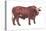 Braford Bull, Beef Cattle, Mammals-Encyclopaedia Britannica-Stretched Canvas