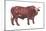 Braford Bull, Beef Cattle, Mammals-Encyclopaedia Britannica-Mounted Poster