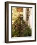 Braganza House, an Old Portuguese House, Goa's Largest Private Dwelling, Chandor, Goa, India-R H Productions-Framed Photographic Print