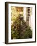 Braganza House, an Old Portuguese House, Goa's Largest Private Dwelling, Chandor, Goa, India-R H Productions-Framed Photographic Print