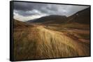 Canvas Black