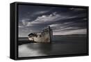 Framed Canvas