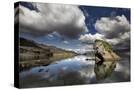 Stretched Canvas