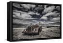 Framed Canvas