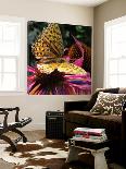 Floral Wonders 1-Brago-Loft Art