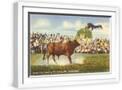 White Frame