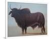 Brahmin Bull-Lincoln Seligman-Framed Giclee Print