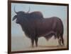 Brahmin Bull-Lincoln Seligman-Framed Giclee Print