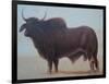 Brahmin Bull-Lincoln Seligman-Framed Giclee Print