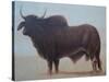 Brahmin Bull-Lincoln Seligman-Stretched Canvas