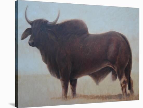 Brahmin Bull-Lincoln Seligman-Stretched Canvas