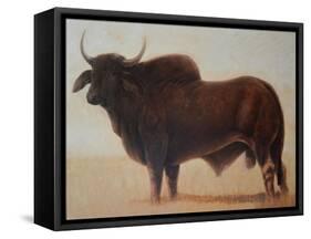 Brahmin Bull-Lincoln Seligman-Framed Stretched Canvas